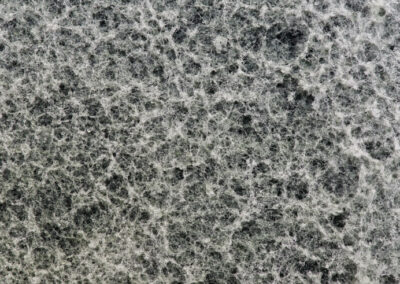 Mycélium Technologies