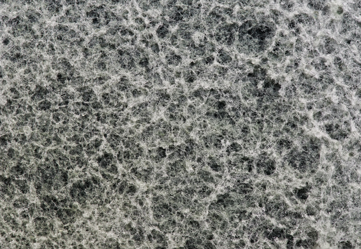 Mycélium Technologies